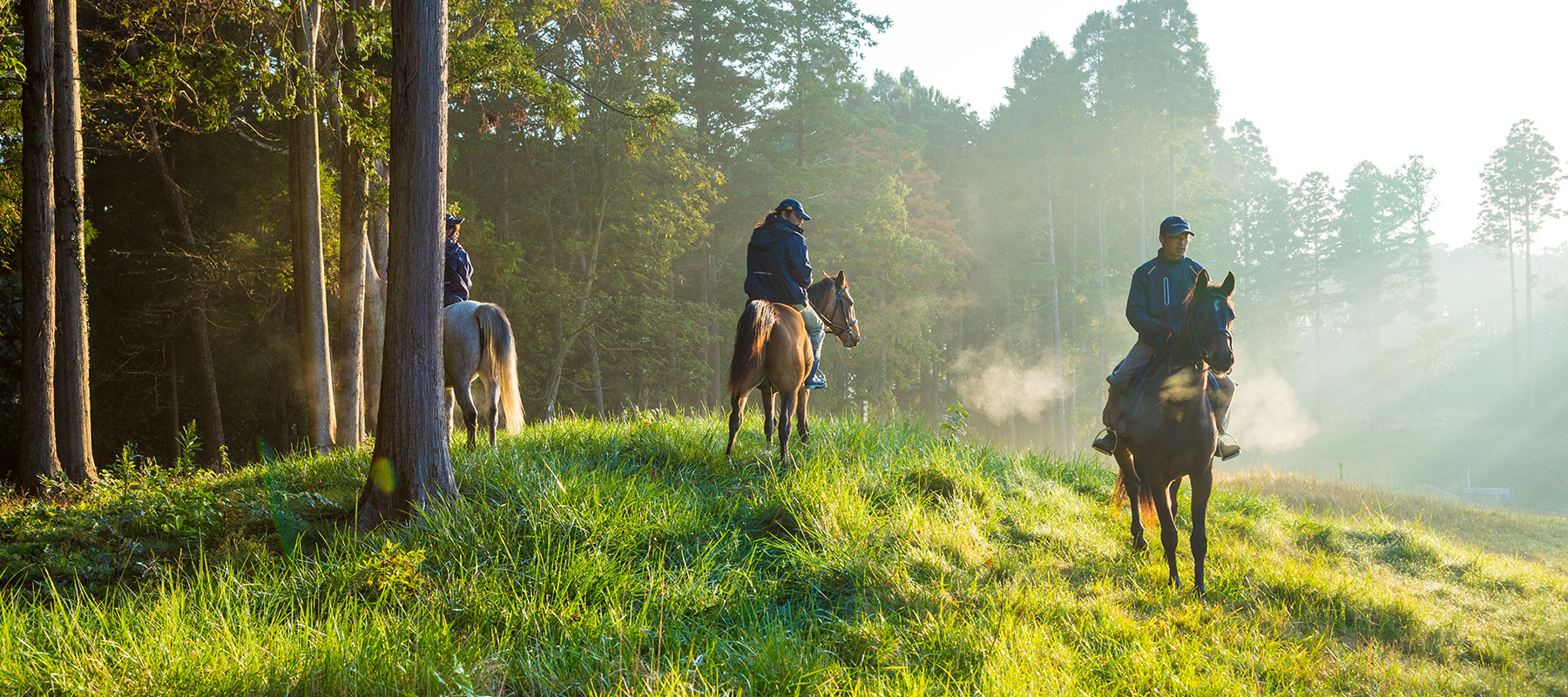 Horse Owners Club 東京クラシッククラブ