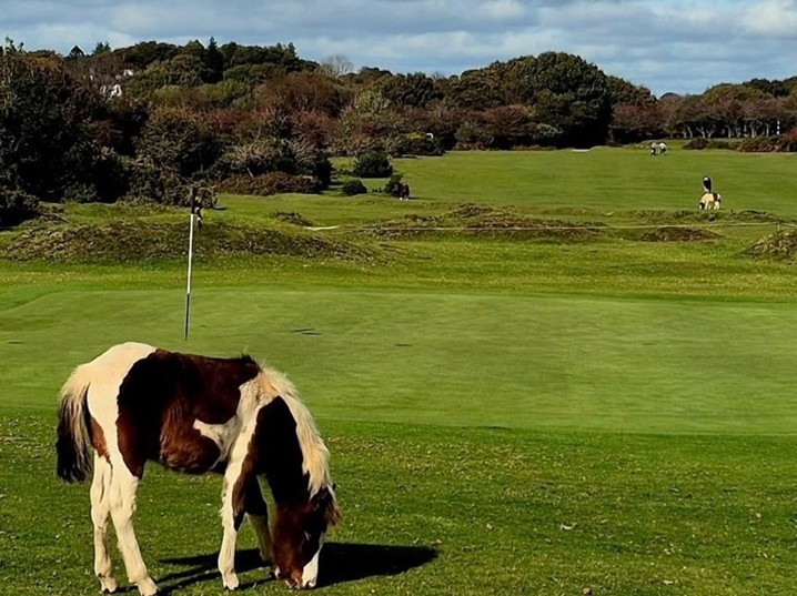 連載 GOLF Atmosphere No.127 / Greatest Golf Courses or Prestigious